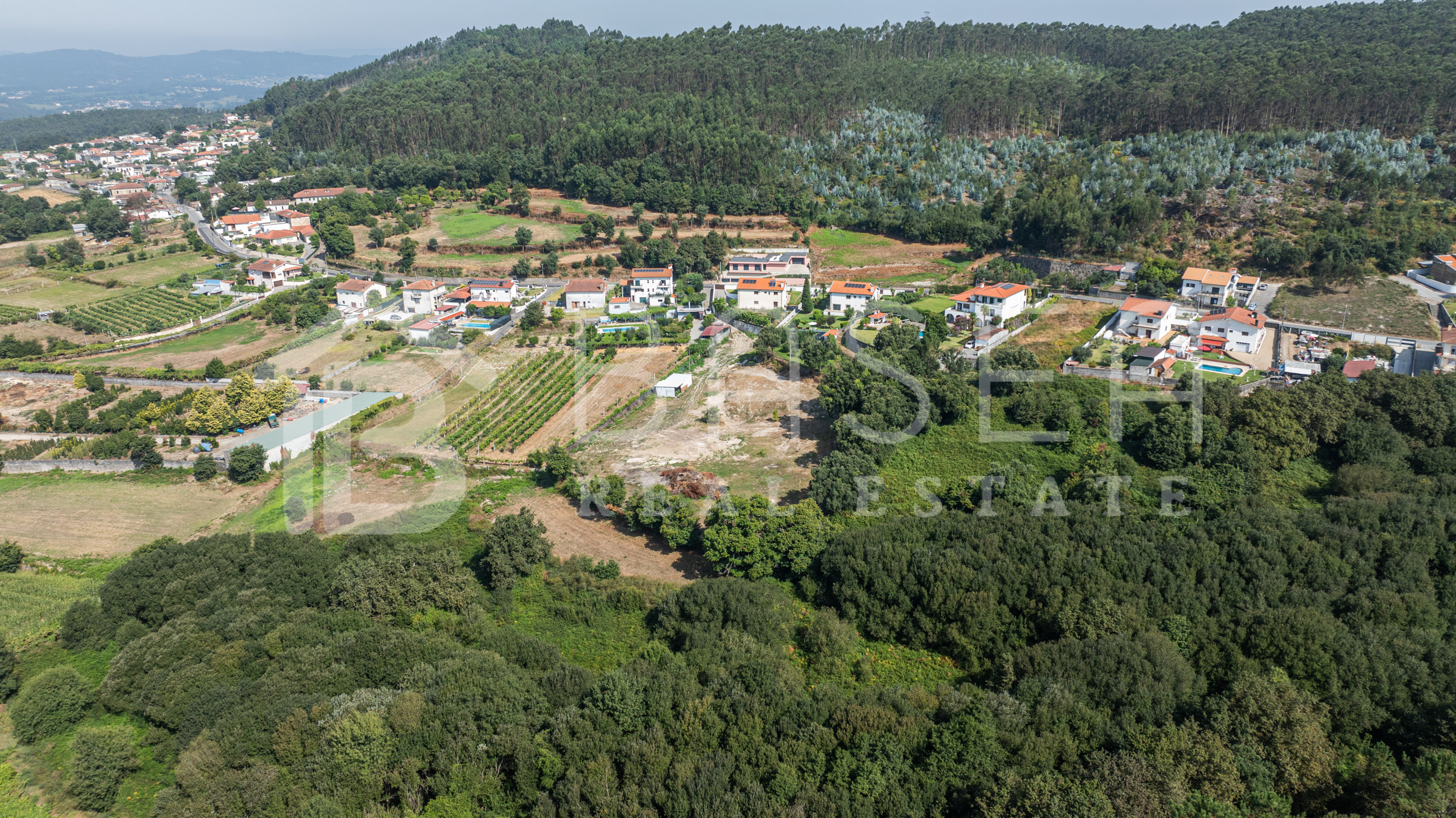 Terreno agrícola com 6044m2 em Semelhe, Braga 4