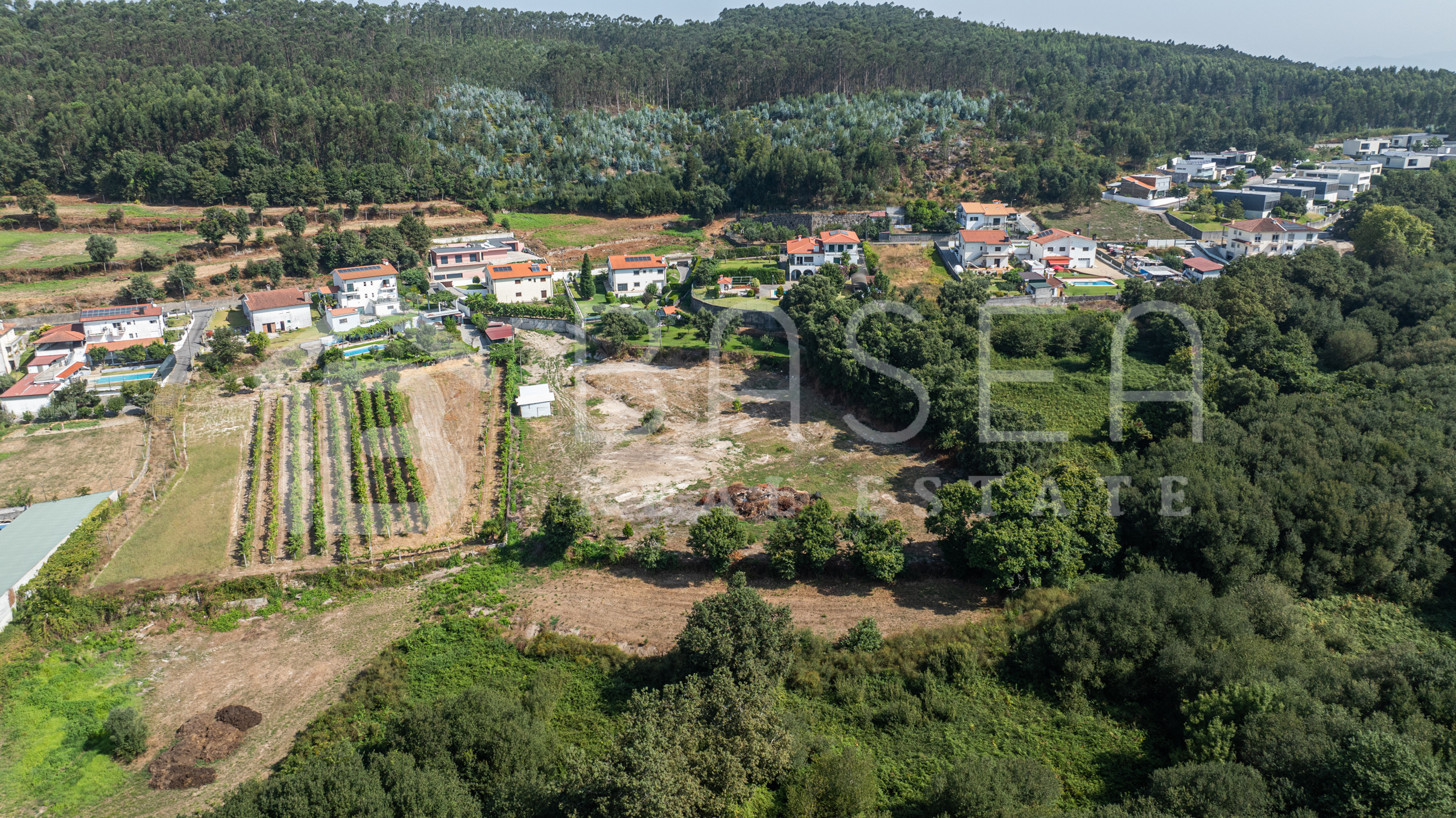 Terreno agrícola com 6044m2 em Semelhe, Braga 3